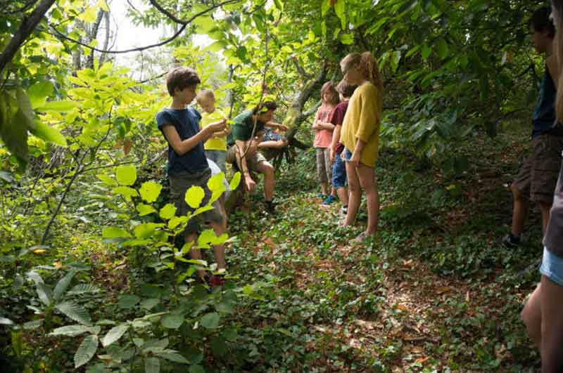 animation nature cevennes