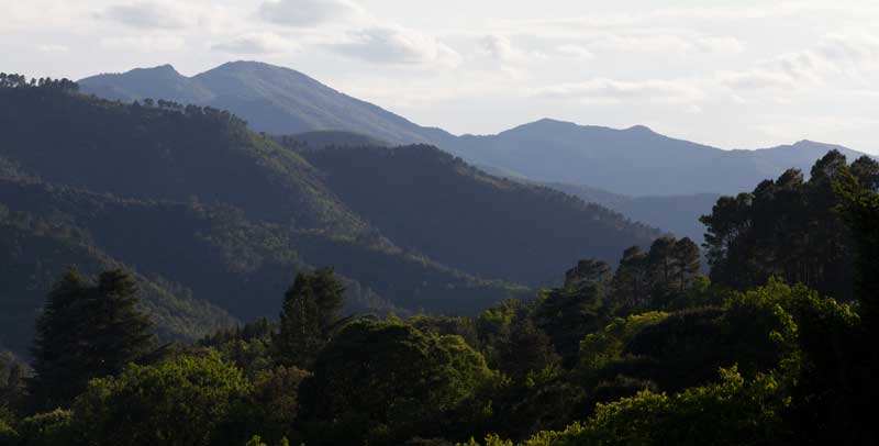 cévennes