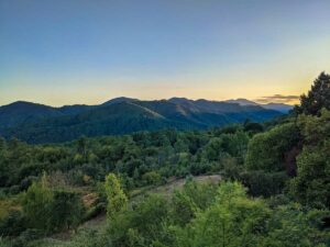 cévennes