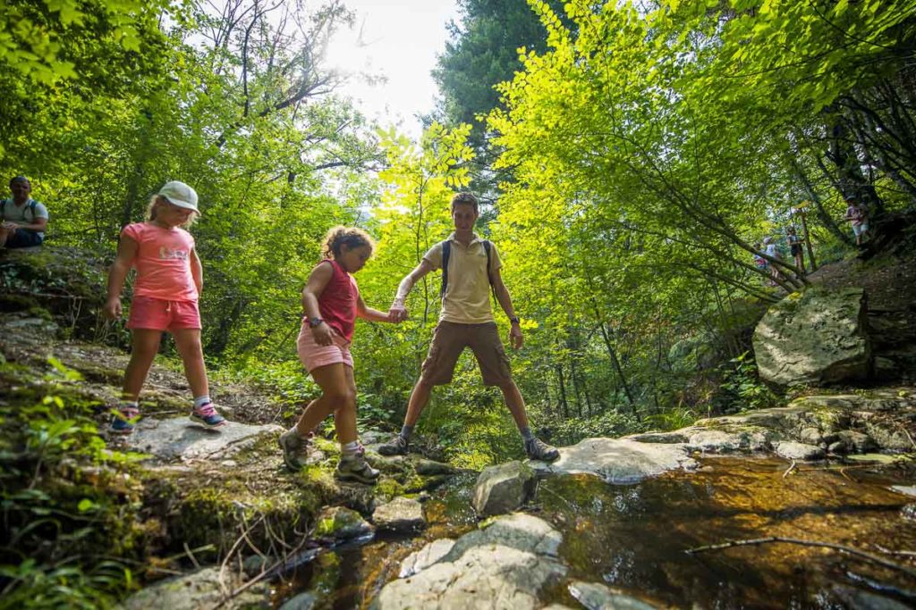 activites animations nature bivouac nature cevennes sorties nature randonnee accompagnee