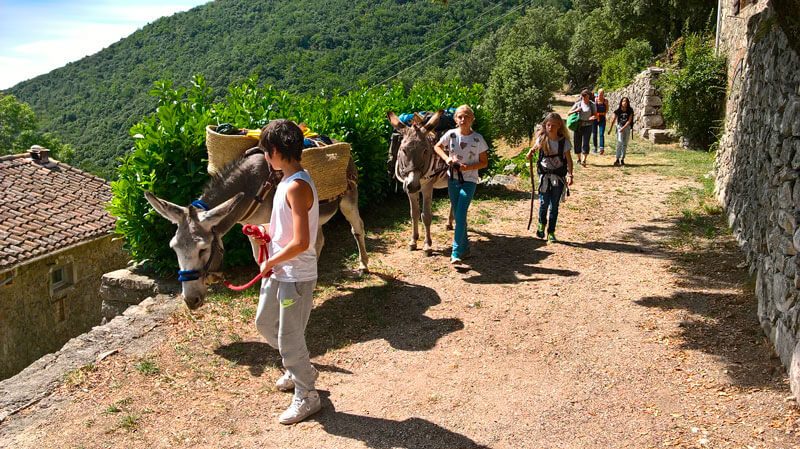 balade rando ane cevennes