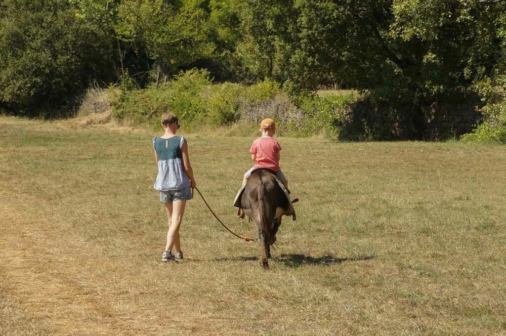 Balade avec un âne dans les Cévennes