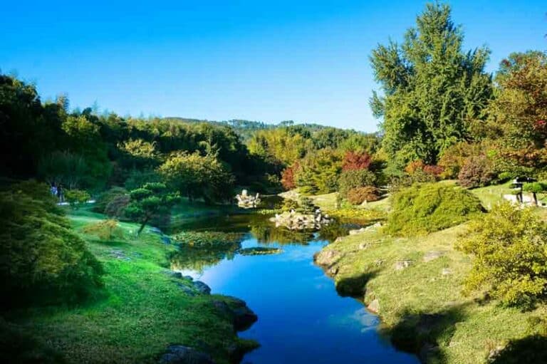 la-bambouseraie-d-anduze-bivouac-nature