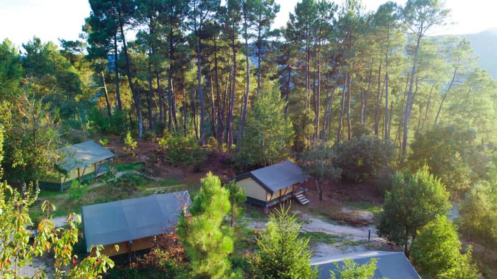Camping en forêt : l’expérience idéale pour se reconnecter à l’essentiel