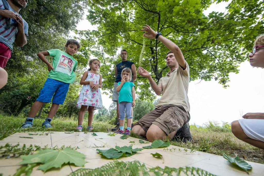 animation enfant nature