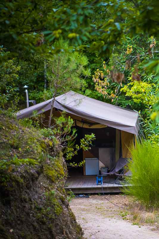 camping foret france cevennes