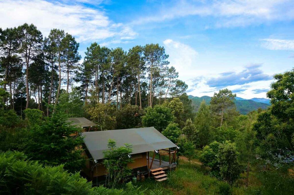 Camping à Mialet : Vivez une expérience inoubliable au cœur des Cévennes