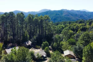 camping nature cévennes cevennes