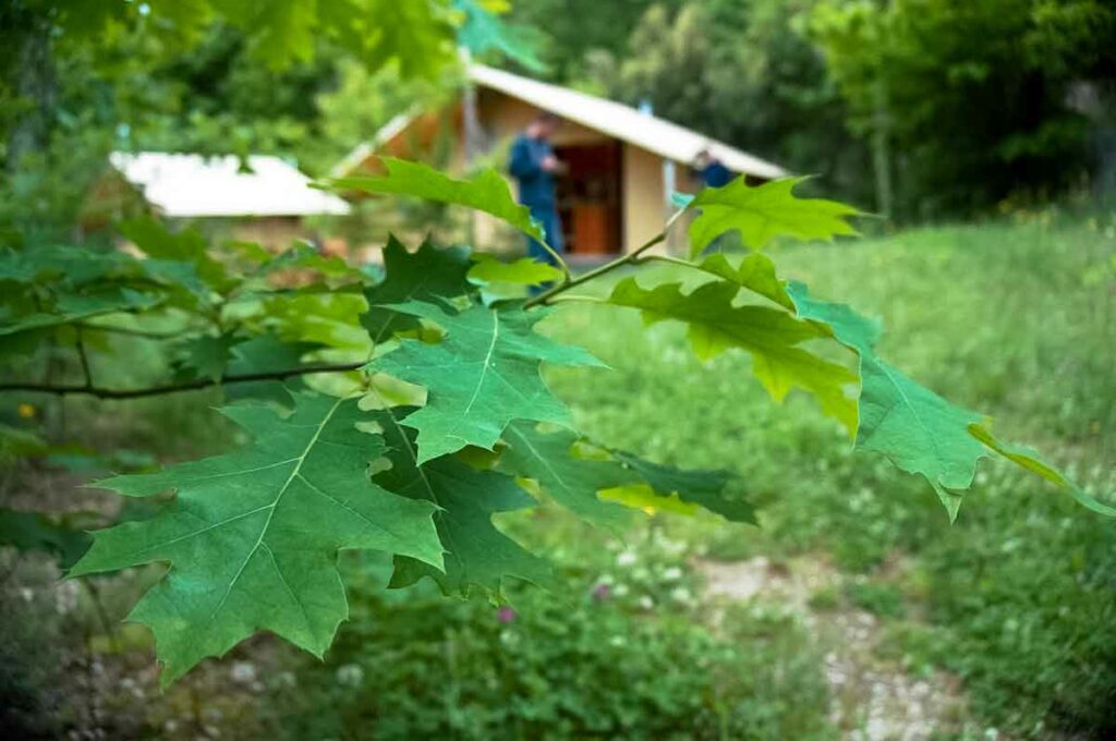 Camping nature et tranquillité : offrez-vous un séjour loin du bruit et du stress