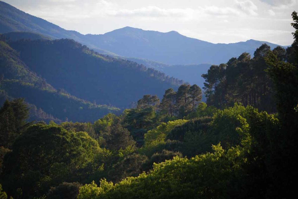 cevennes paysage tourisme visitebivouac nature camping nature insolite écolo