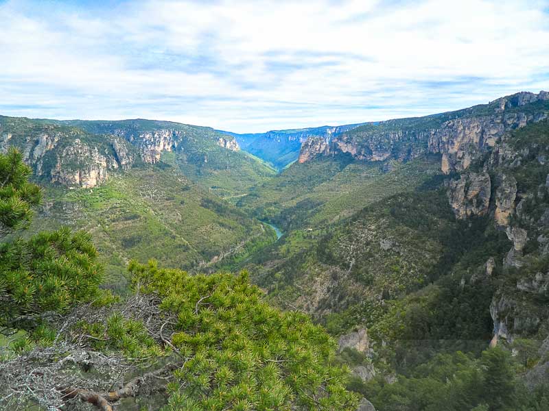 gorges du tarn cevennes