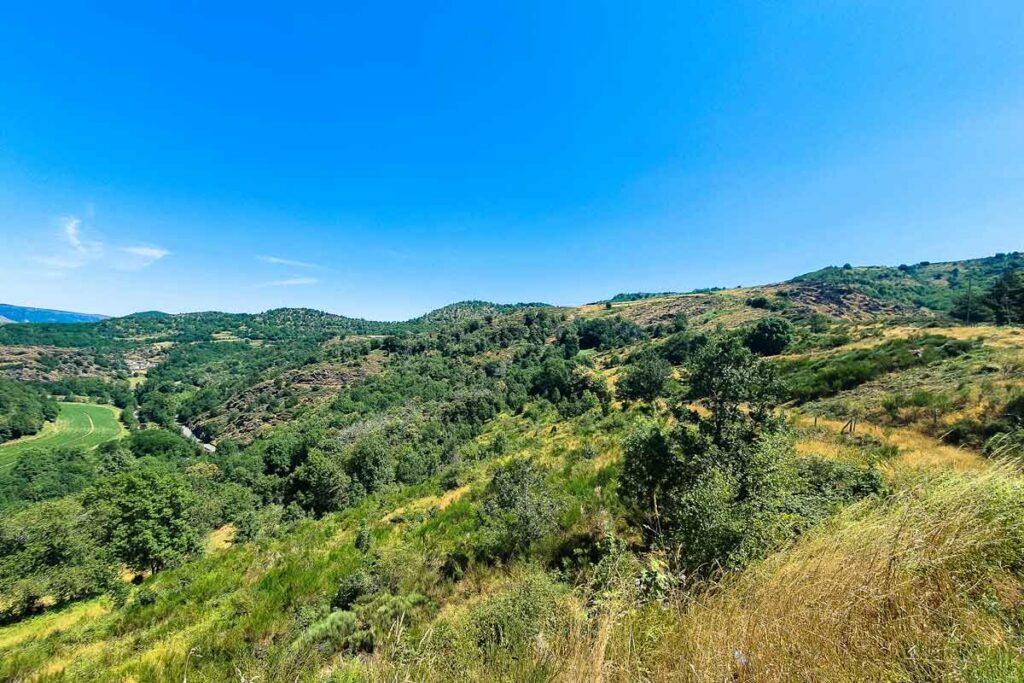 cévennes paysage
