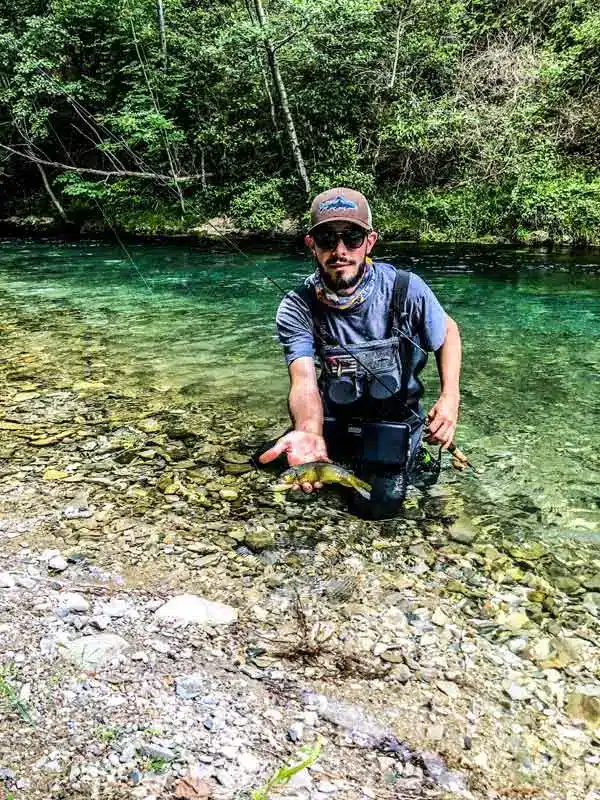 pêche cevennes no kill truite