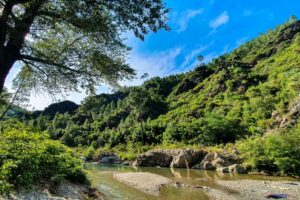 camping nature riviere