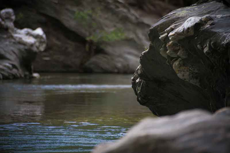 rivière pêche cévennes