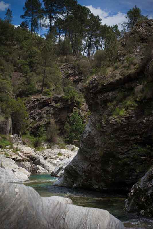 riviere cevennes peche