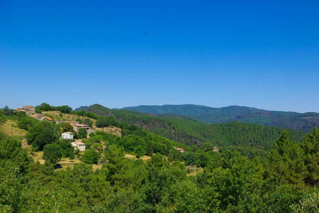 Un séjour en Cévennes hors des sentiers battus : l’expérience Bivouac nature