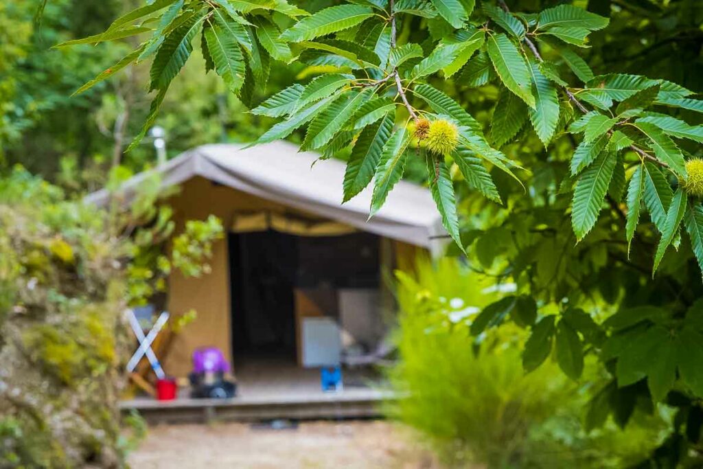 Séjour insolite en Occitanie : vivez une expérience hors des sentiers battus