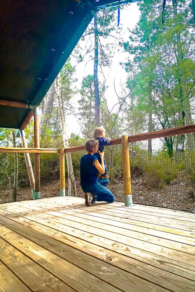 Un week-end insolite en Occitanie : Une parenthèse unique dans les Cévennes